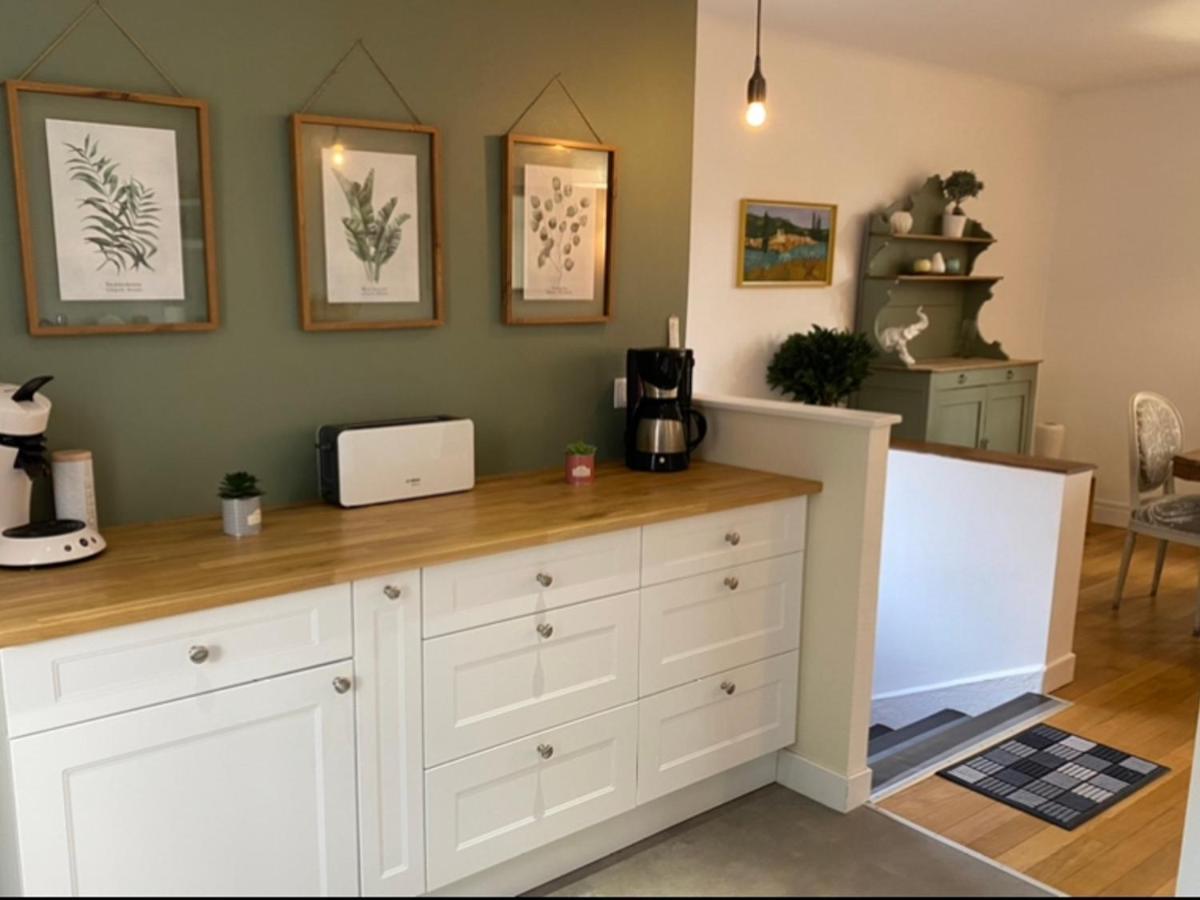 Holiday home Charmante Maison Avec Jardin En Face Du Parc, Proche Commerces Et Attractions Touristiques - Fr-1-489-333