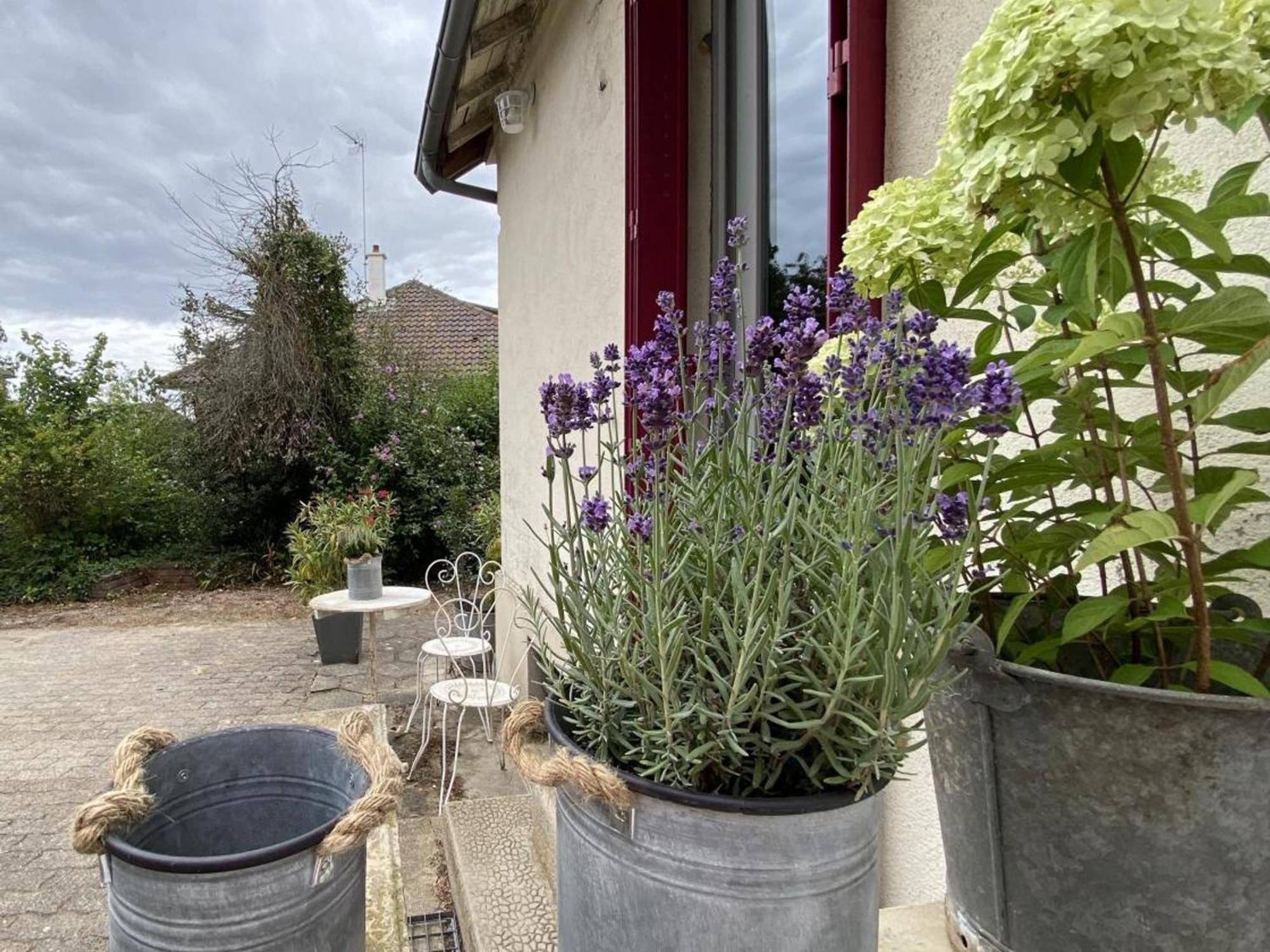 Charmante Maison Avec Jardin En Face Du Parc, Proche Commerces Et Attractions Touristiques - Fr-1-489-333 Vakantiehuis
